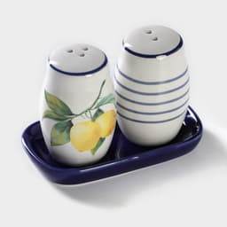 Набор для специй Доляна «Лимон», солонка, перечница 130 мл, доломит, белый, синий