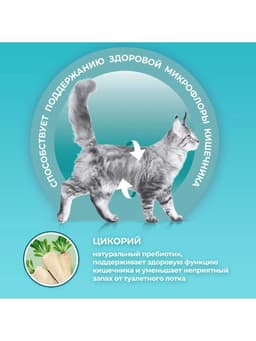 Сухой корм Purina One для домашних кошек, индейка/злаки, 3 кг