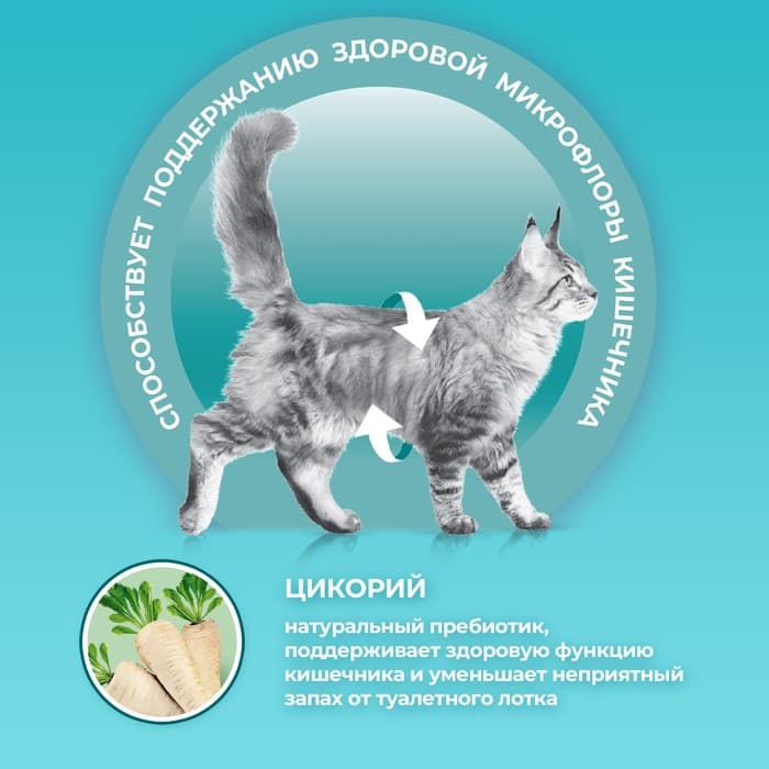 Сухой корм Purina One для стерилизованных кошек, лосось/пшеница, 750 г