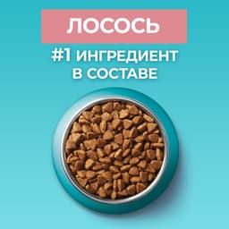 Сухой корм Purina One для стерилизованных кошек, лосось/пшеница, 750 г