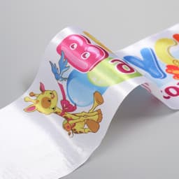 Лента полноцвет «Выпускник детского сада 2023», 10×160