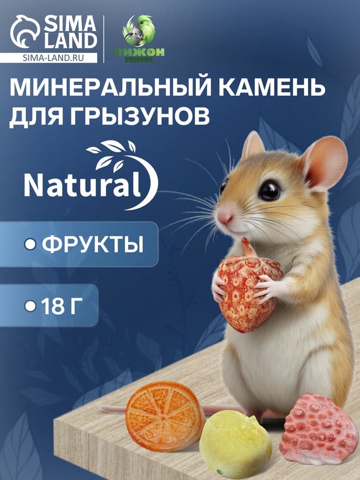 Минеральный камень для грызунов «Пижон», фрукты, 18 г, набор 4 шт.