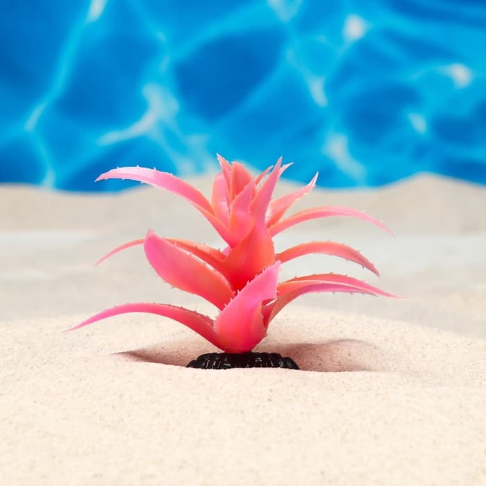 Растение для аквариума и террариума, светящееся, 10 см, красное