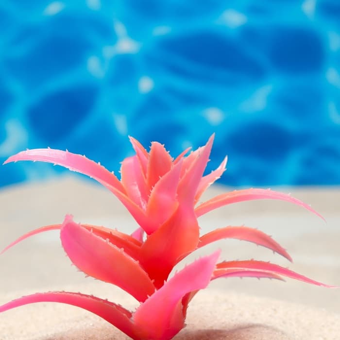 Растение для аквариума и террариума, светящееся, 10 см, красное