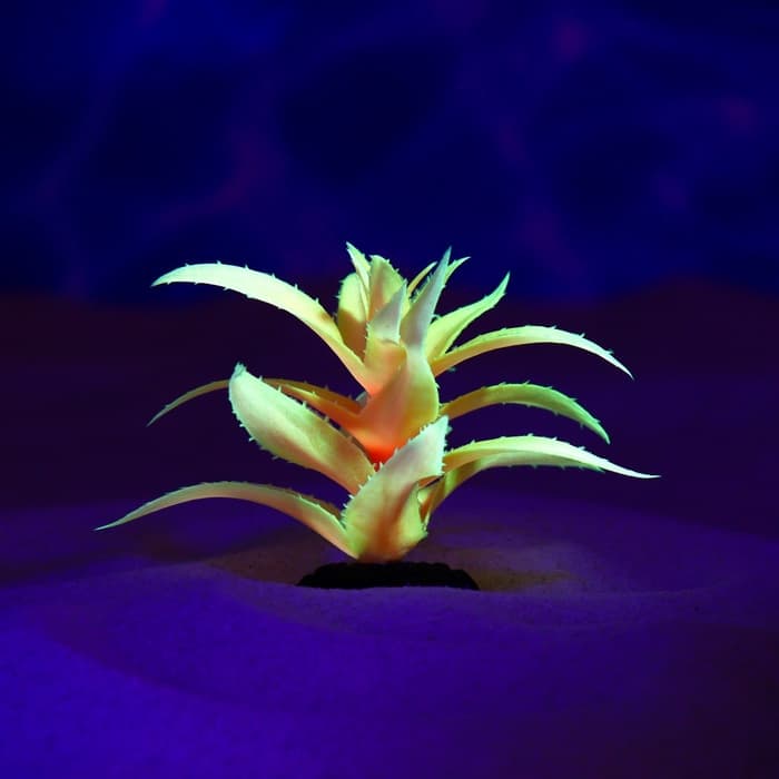 Растение для аквариума и террариума, светящееся, 10 см, красное