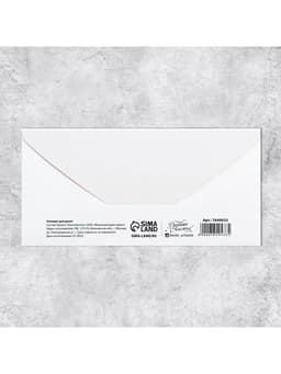 Конверт для денег «Свадьба», 16.5×8 см