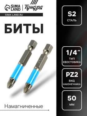 Биты ТУНДРА, намагниченные, сталь S2, PZ2×50 мм, 2 шт.
