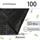 Агроткань застилочная, с разметкой, 10×1.6 м, плотность 100 г/м², полипропилен, Greengo, Эконом 50%