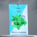 Аромасаше «Мята и ментол», 10 г