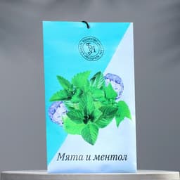 Аромасаше «Мята и ментол», 10 г