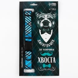 Ошейник «Джентльмен», застёжка - фастекс, 2.5 см, 40-55 см