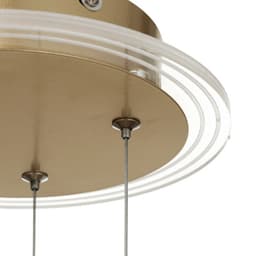 Люстра «Стрекоза»LED 48 Вт 3000-6000К золото 52×52×80 см BayerLux