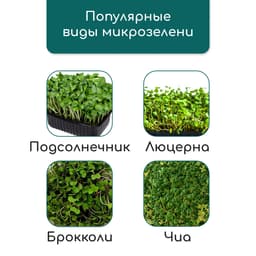 Коврик джутовый для выращивания микрозелени, 10×15 см, толщина 1 см, набор 5 шт.