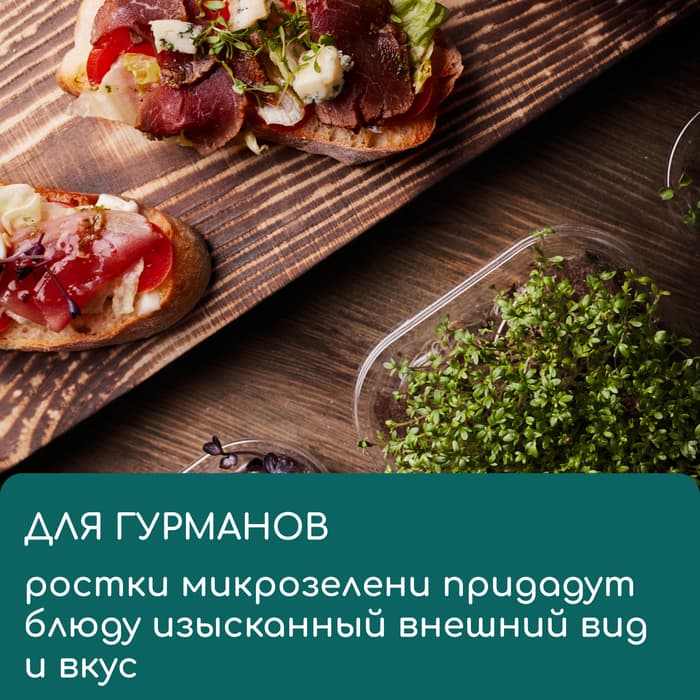 Коврик джутовый для выращивания микрозелени, 10×15 см, толщина 1 см, набор 5 шт.