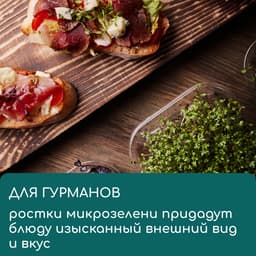 Коврик джутовый для выращивания микрозелени, 10×15 см, толщина 1 см, набор 5 шт.