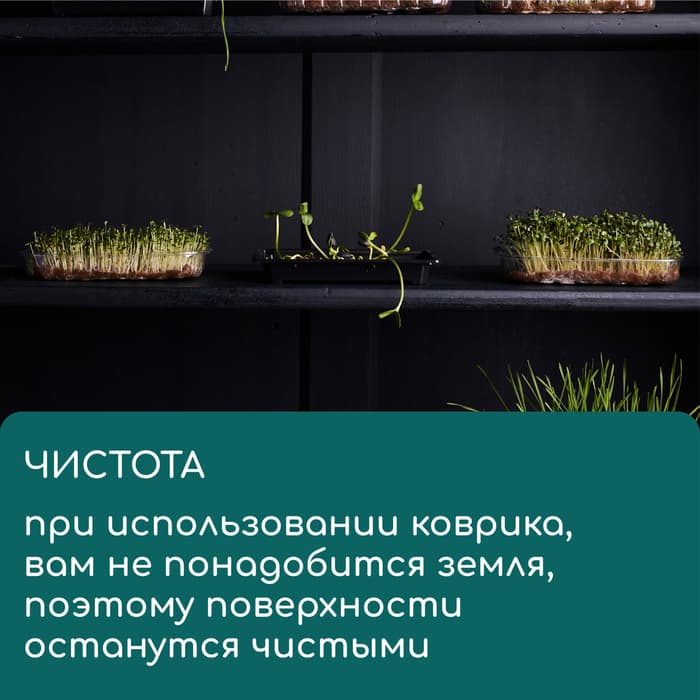Коврик джутовый для выращивания микрозелени, 10×15 см, толщина 1 см, набор 5 шт.