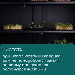 Коврик джутовый для выращивания микрозелени, 10×15 см, толщина 1 см, набор 5 шт.