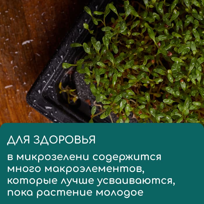 Коврик джутовый для выращивания микрозелени, 10×15 см, толщина 1 см, набор 5 шт.