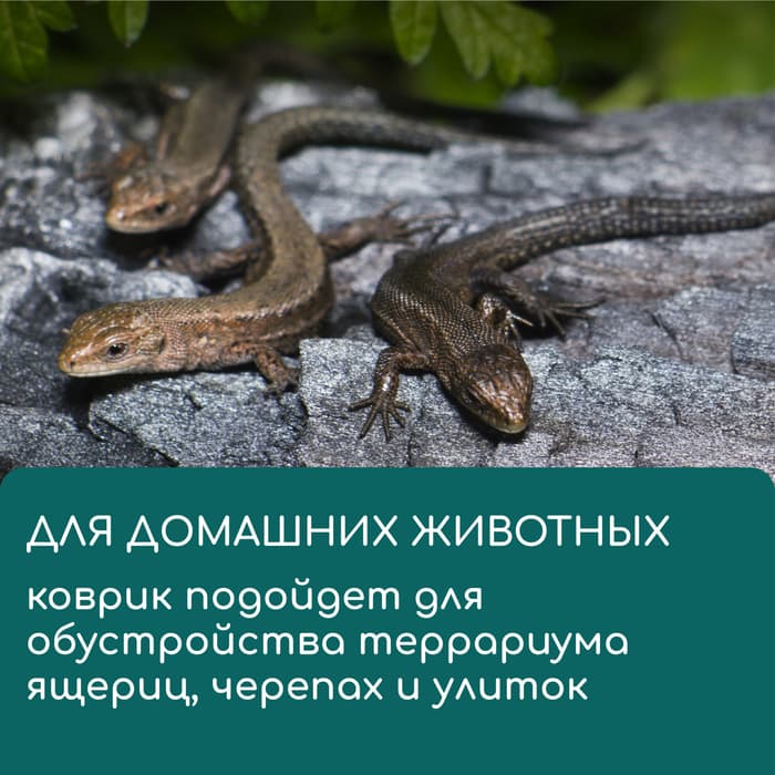 Коврик джутовый для выращивания микрозелени, 10×15 см, толщина 1 см, набор 5 шт.