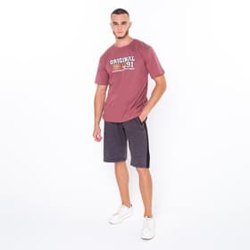 Шорты мужские, серые, размер 48