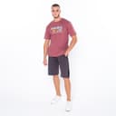 Шорты мужские, серые, размер 48