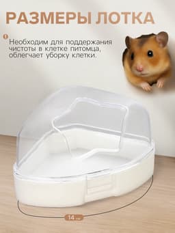 Ванночка для грызунов, 14×10.4 см, угловая, с лопаткой, пластик, белая