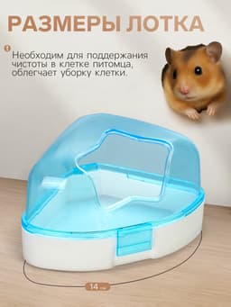 Ванночка для грызунов, 14×10.4 см, угловая, с лопаткой, пластик, голубая