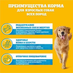 Влажный корм Pedigree для собак телячья печень, желе, пауч, 85 г