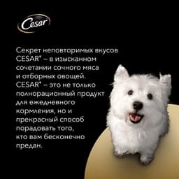 Влажный корм Cesar для собак, курица/зеленые овощами, пауч, 85 г