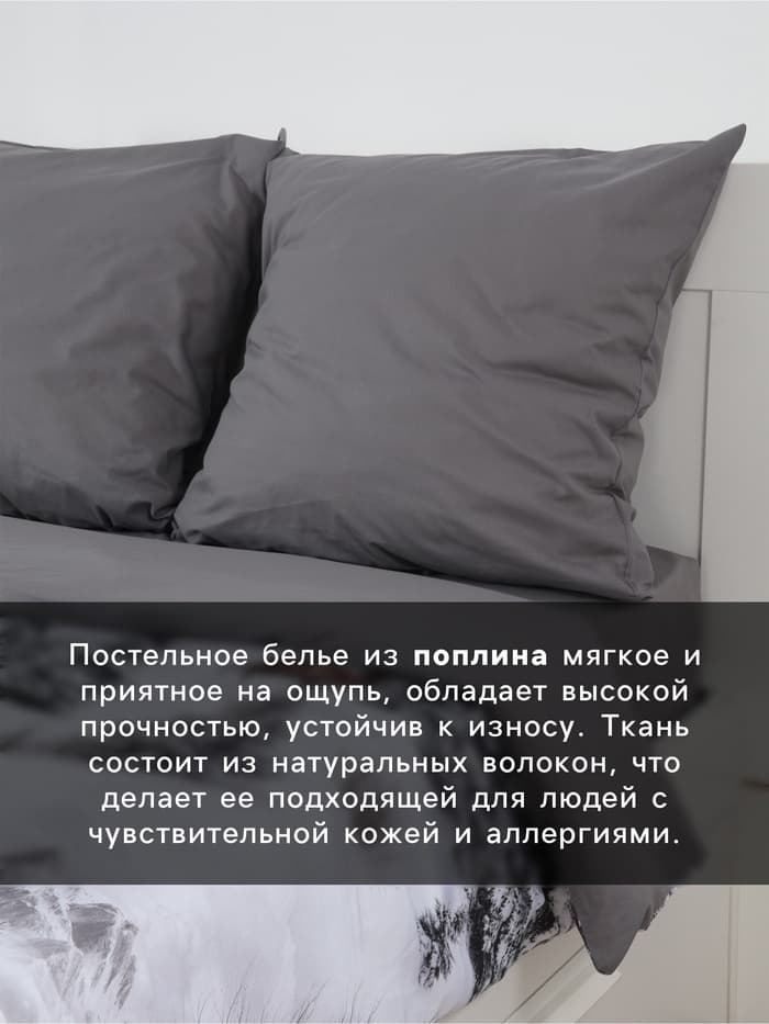 Постельное бельё 2-спальное «Этель» Snow forest, поплин