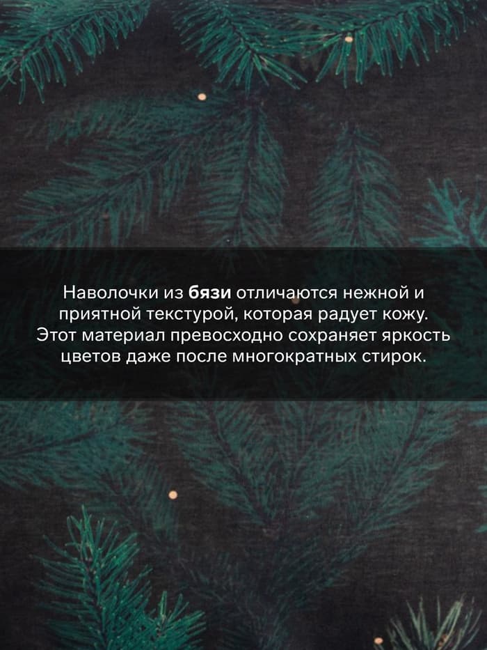 Комплект наволочек «Этель» Winter, 50×70 см, 2 шт., бязь, хлопок 100%