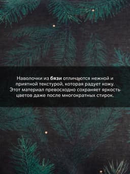 Комплект наволочек «Этель» Winter, 50×70 см, 2 шт., бязь, хлопок 100%