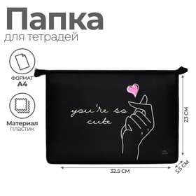 Папка для труда, А4, пластиковая, 23×32.5×5.5 см «Поцелуй»