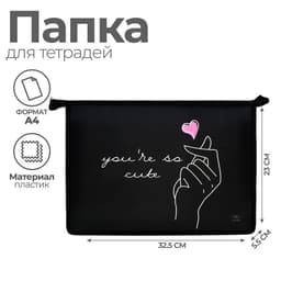 Папка для труда, А4, пластиковая, 23×32.5×5.5 см «Поцелуй»