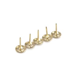 Гвозди ТУНДРА, декоративные, обивочные, фактурные, 11×16 мм, золото, фасовка 50 шт.