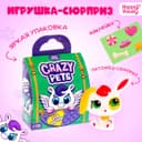Игрушка-сюрприз Happy Valley «Crazy Pets», с наклейками