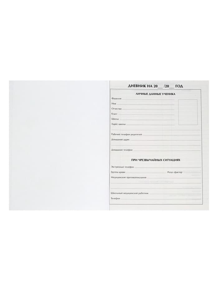 Дневник школьный для 1-11 классов, «Авокадо с косточкой ПАТТЕРН», твёрдая обложка 7БЦ, глянцевая ламинация, 40 листов