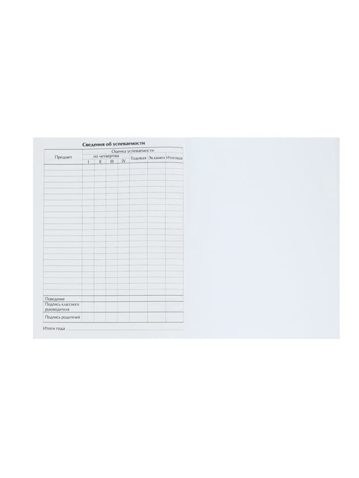 Дневник школьный для 1-11 классов, «Граффити», твёрдая обложка 7БЦ, глянцевая ламинация, 40 листов