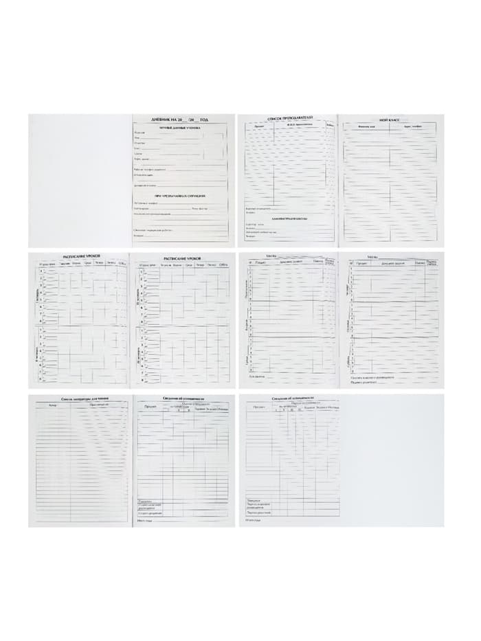 Дневник школьный для 1-11 классов, «Граффити», твёрдая обложка 7БЦ, глянцевая ламинация, 40 листов