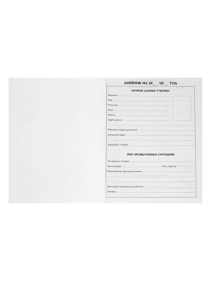 Дневник школьный для 1-11 классов, «Граффити», твёрдая обложка 7БЦ, глянцевая ламинация, 40 листов