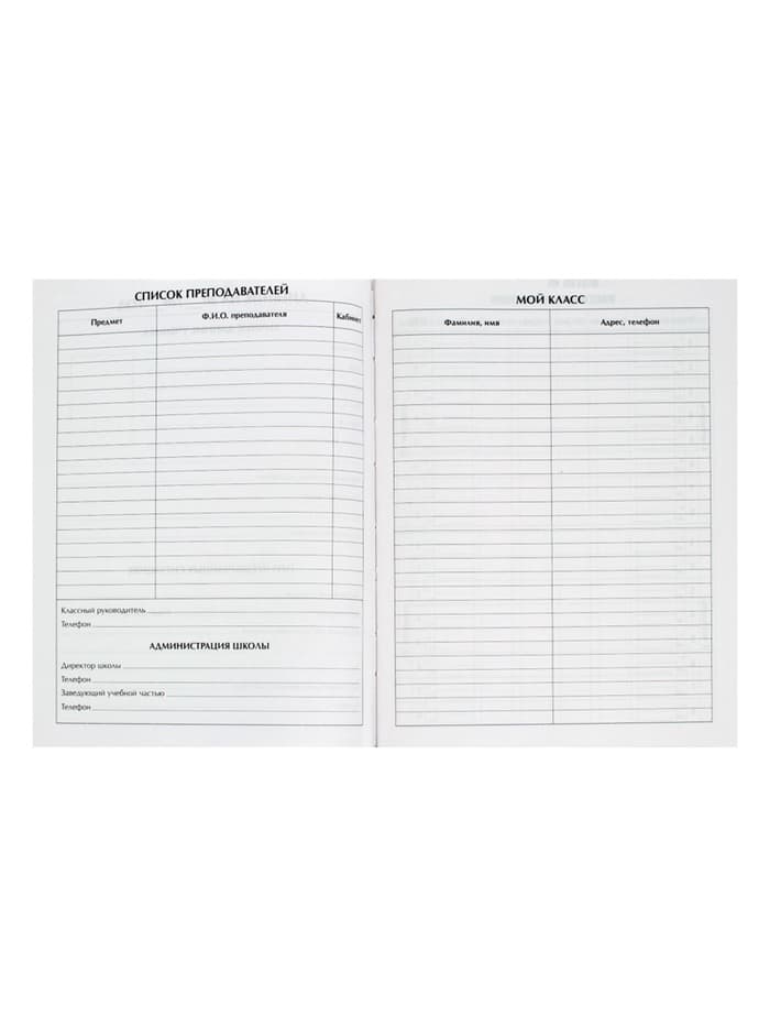 Дневник школьный для 1-11 классов, «Граффити», твёрдая обложка 7БЦ, глянцевая ламинация, 40 листов