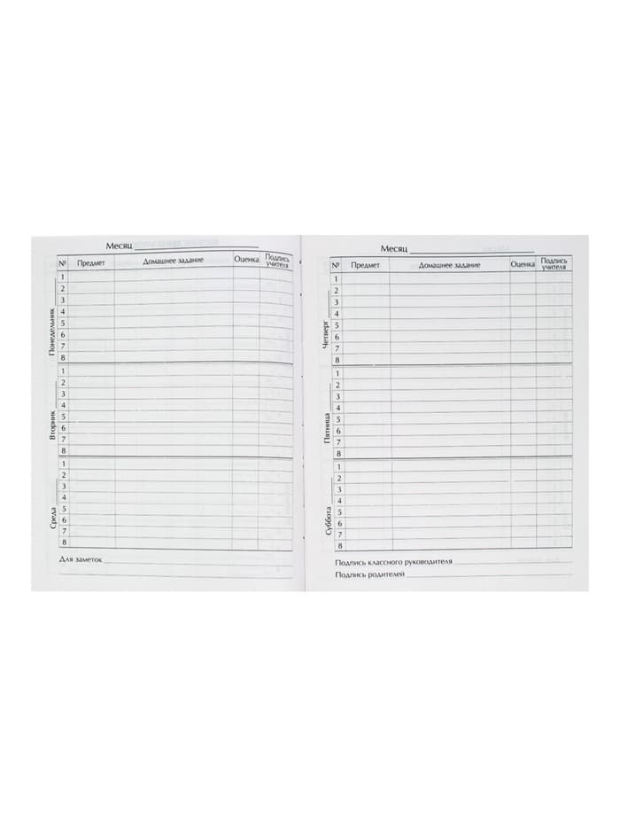 Дневник школьный для 1-11 классов, «Граффити», твёрдая обложка 7БЦ, глянцевая ламинация, 40 листов