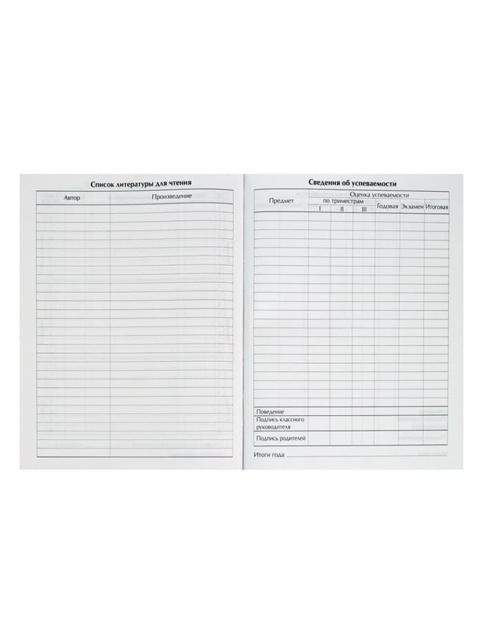 Дневник школьный для 1-11 классов, «Граффити», твёрдая обложка 7БЦ, глянцевая ламинация, 40 листов