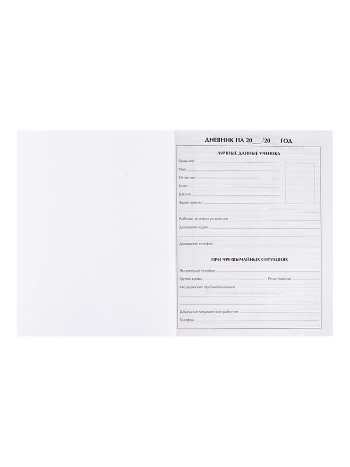 Дневник школьный для 1-11 классов, «Земля из космоса», твёрдая обложка 7БЦ, глянцевая ламинация, 40 листов