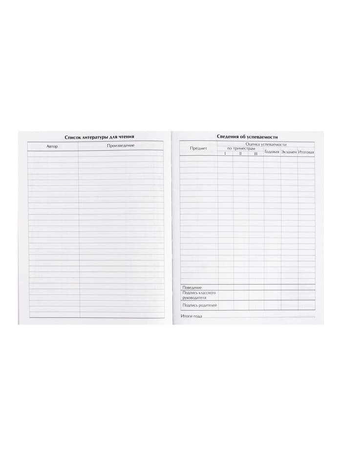 Дневник школьный для 1-11 классов, «Земля из космоса», твёрдая обложка 7БЦ, глянцевая ламинация, 40 листов