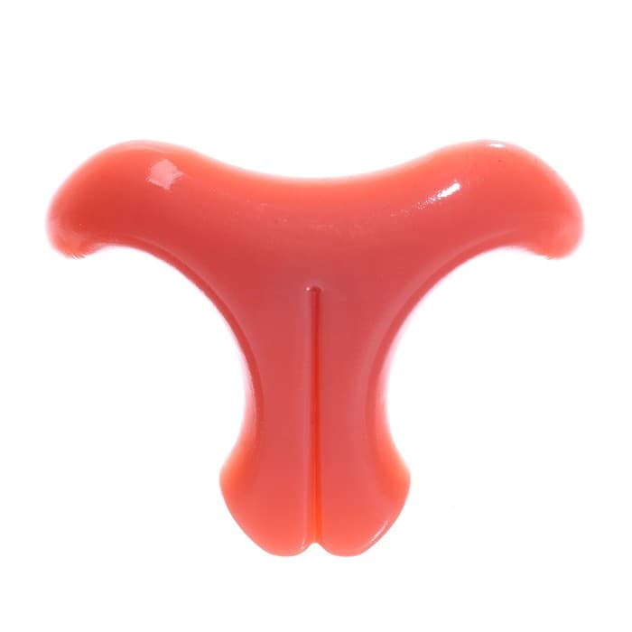 Носик винтовой с заглушкой, набор 2 шт., размер 1 шт.: 5.25×3.9 см