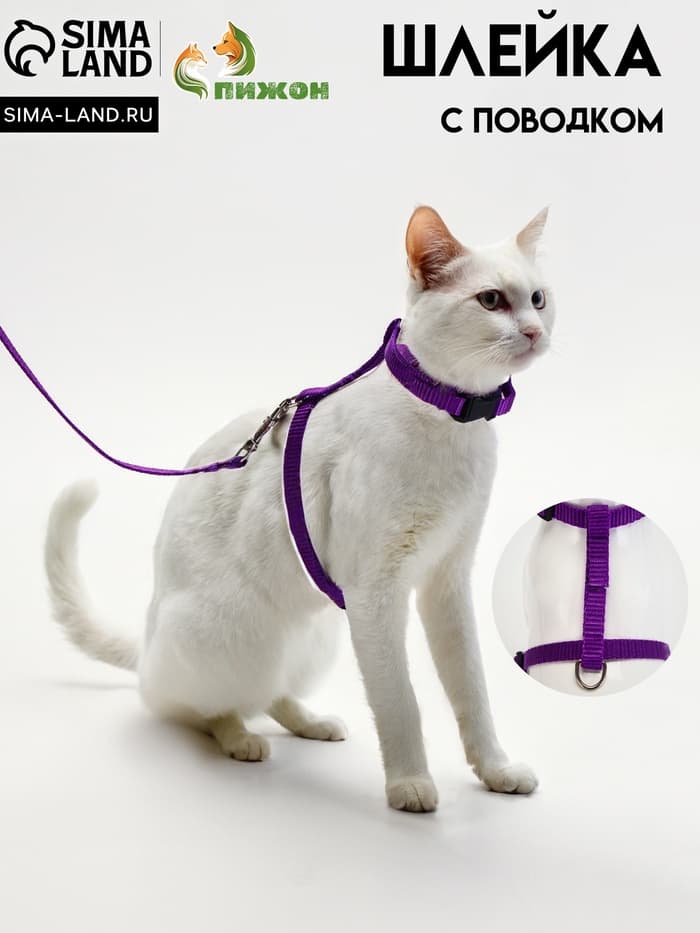 Комплект для кошек, ОШ 16.5-27 см, ОГ 21-35 см, ширина 1 см, поводок 120 см, фиолетовый