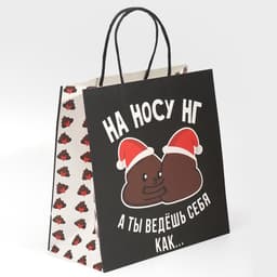 Пакет подарочный новогодний «На носу НГ», 22×22×11 см