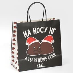 Пакет подарочный новогодний «На носу НГ», 22×22×11 см