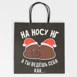 Пакет подарочный новогодний «На носу НГ», 22×22×11 см